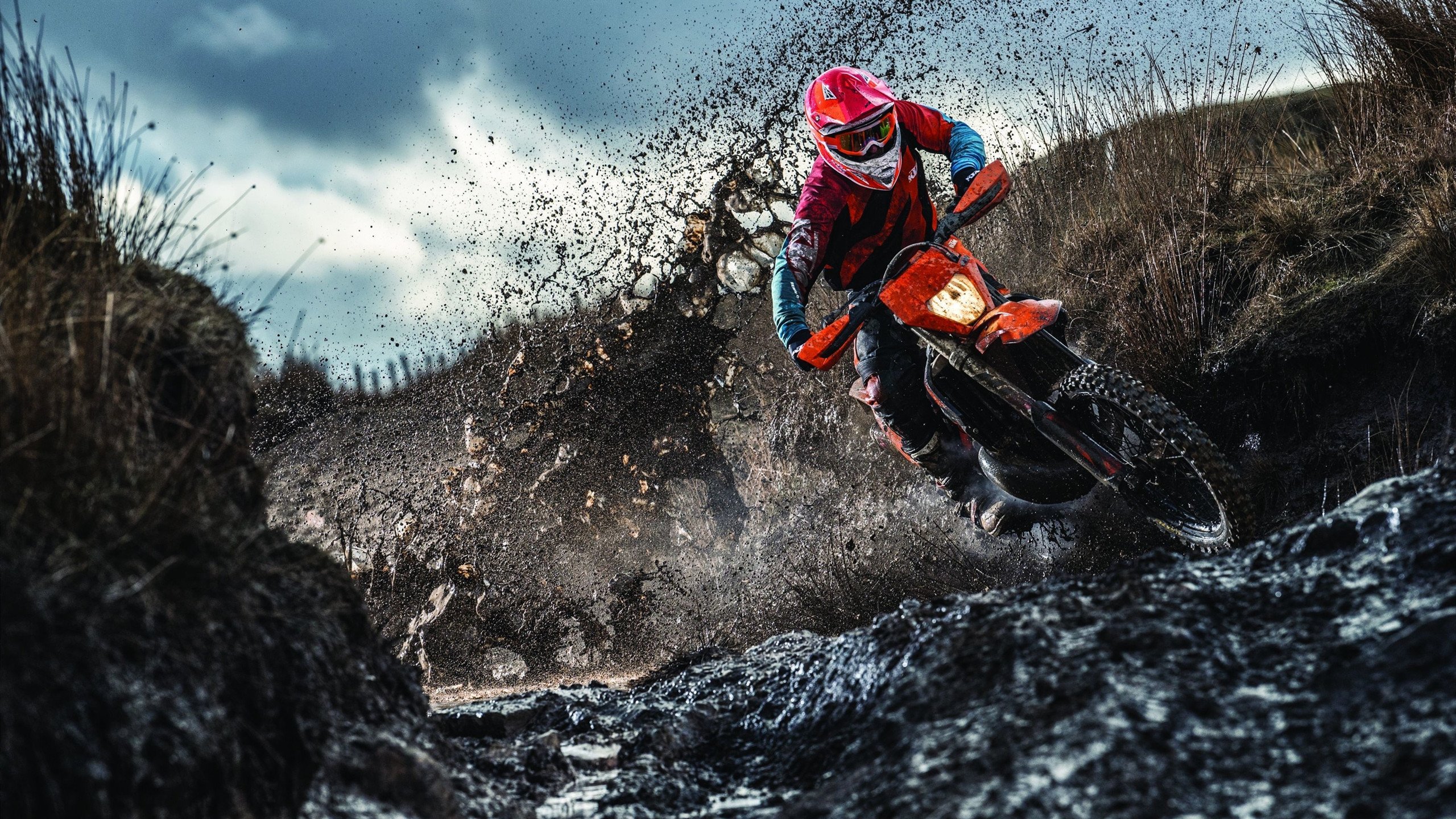 奥运周期关键战之夜，武切维奇个人能力完全展现