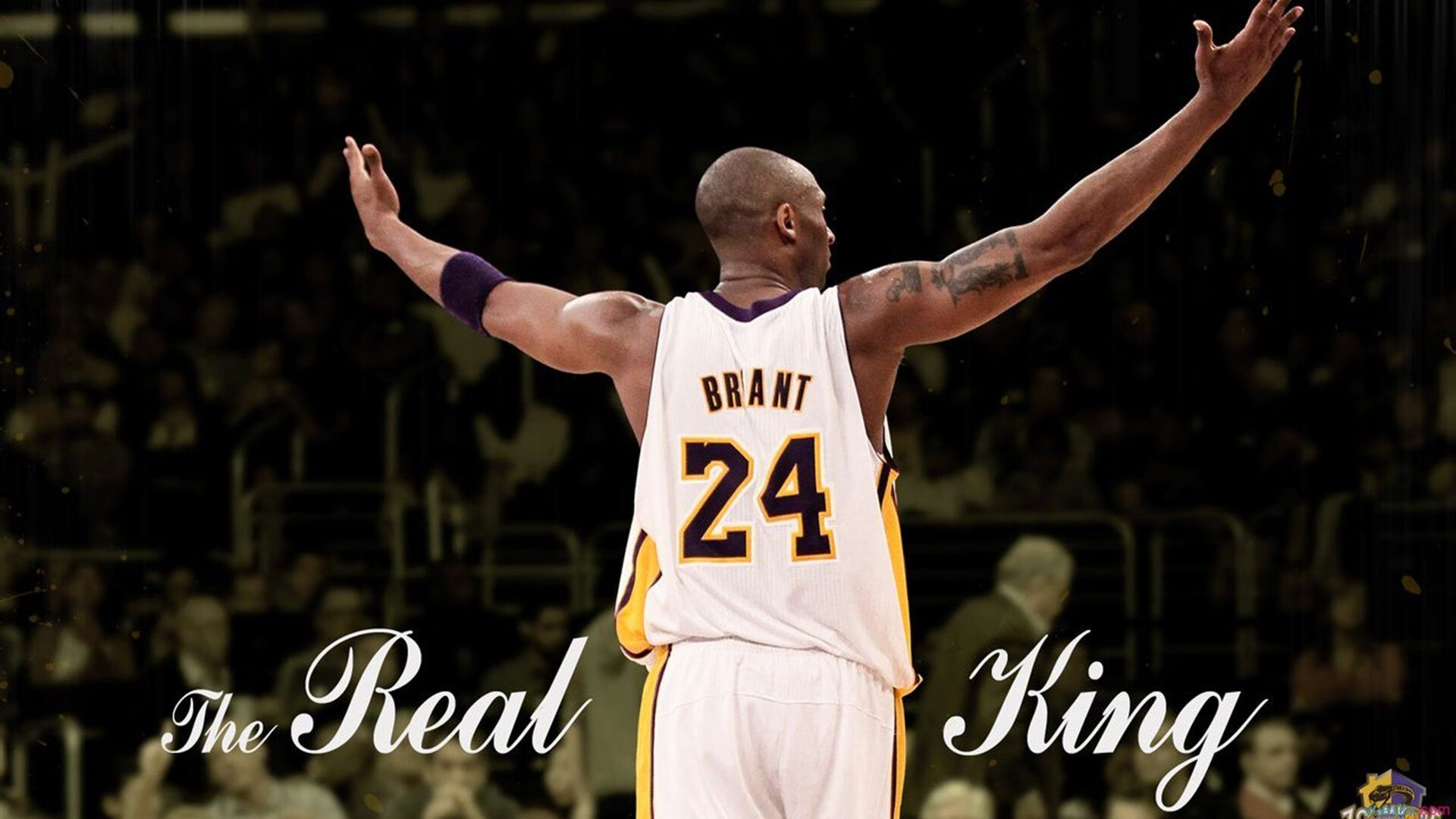 澳网轻取法网，穆雷点燃赛场，一场跨越时空的网球对话